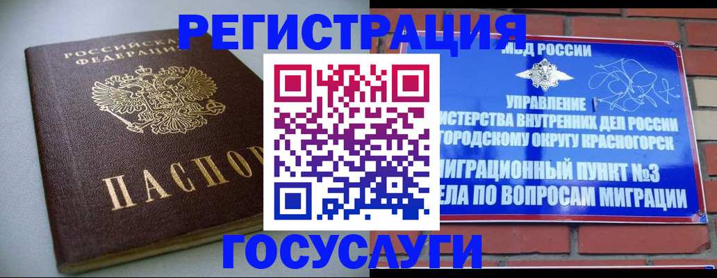 временная прописка в Кингисеппе